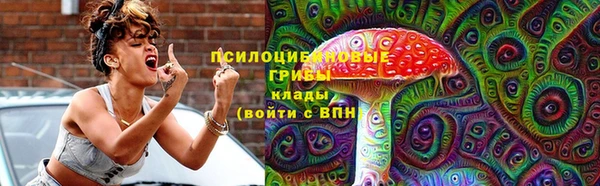 ПСИЛОЦИБИНОВЫЕ ГРИБЫ Заволжск