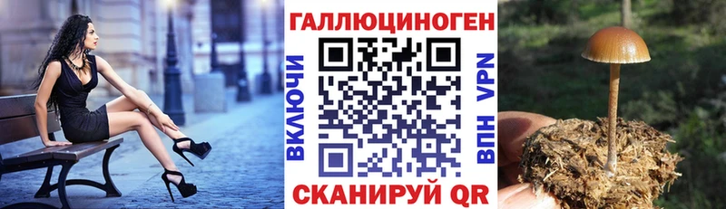 Псилоцибиновые грибы MAGIC MUSHROOMS  мега   Ставрополь  наркота 